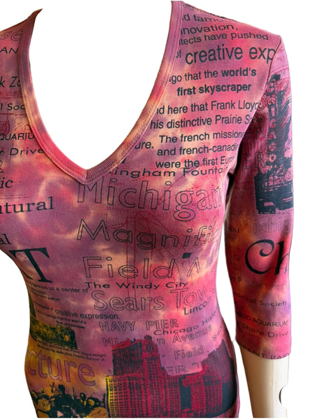 Chicago Architecture Sunst