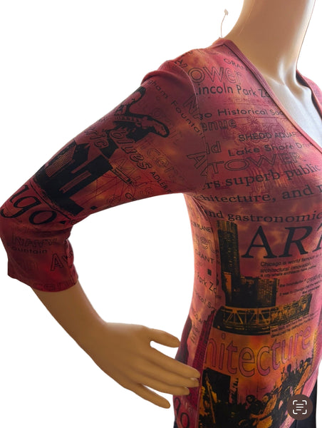 Chicago Architecture Sunst